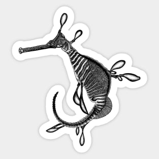 Weedy seadragon seahorse ink illustration Sticker
